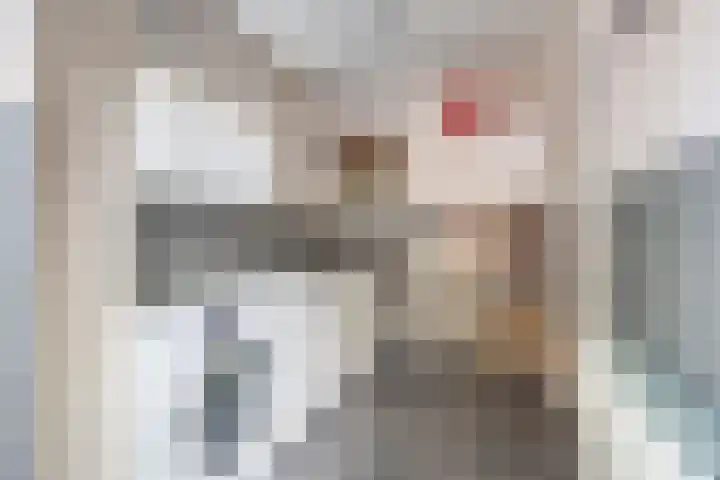 Klompstraat 1 Heino thumbnail 15