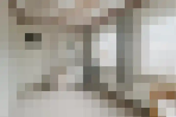Klompstraat 20 Heino thumbnail 19