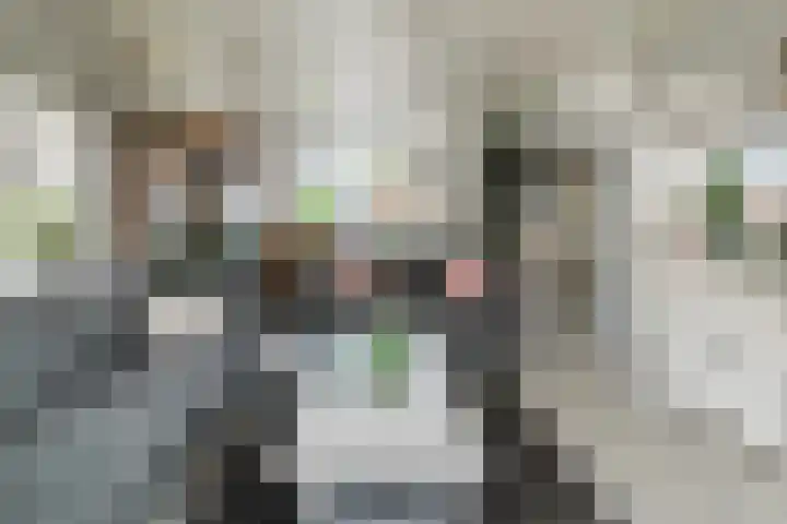 Klompstraat 20 Heino thumbnail 4