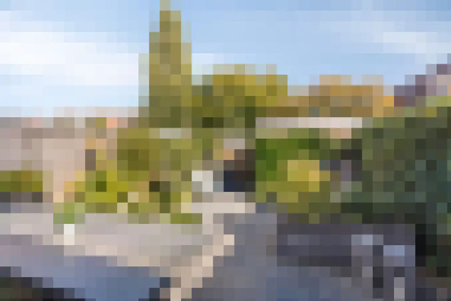 Klompstraat 38 Apeldoorn thumbnail 4
