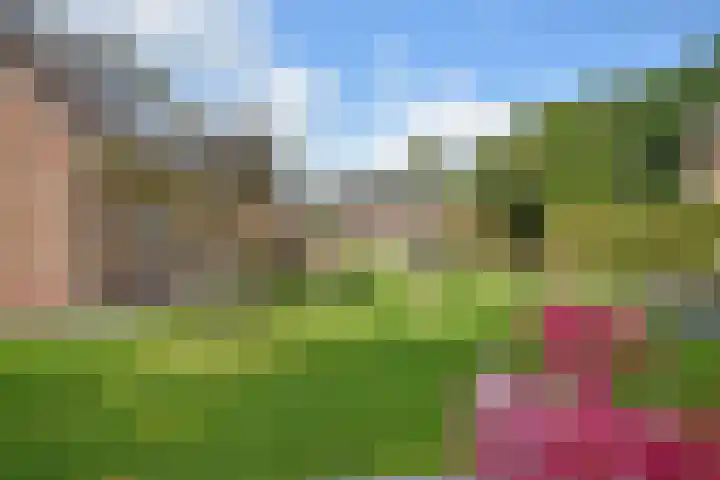 Klompstraloane 4 Burgum thumbnail 13