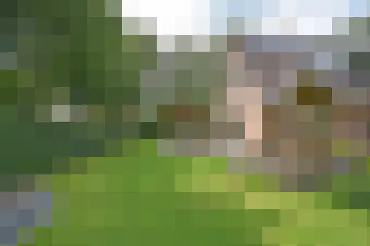 Klompstraloane 4 Burgum thumbnail 14