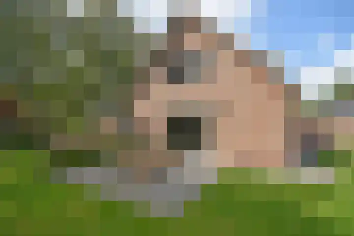 Klompstraloane 4 Burgum thumbnail 15