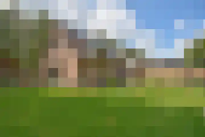 Klompstraloane 4 Burgum thumbnail 16