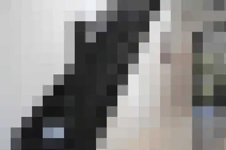 Klompstraloane 4 Burgum thumbnail 20