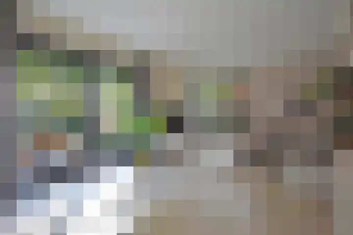Klompstraloane 4 Burgum thumbnail 30