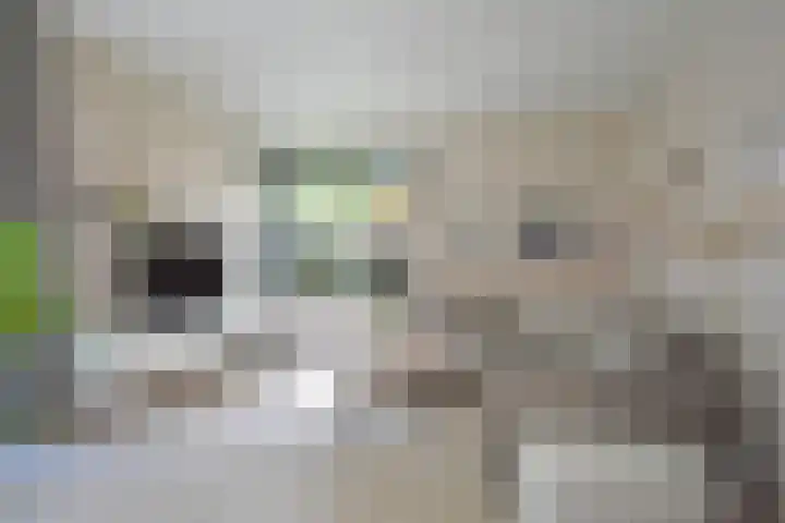 Klompstraloane 4 Burgum thumbnail 32