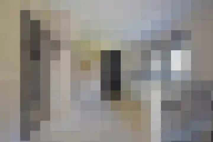 Klompstraloane 4 Burgum thumbnail 36