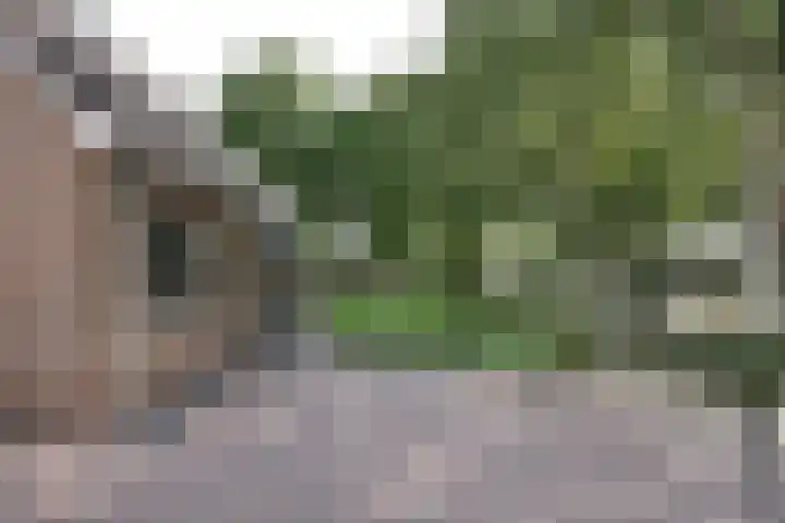 Klompstraloane 4 Burgum thumbnail 4