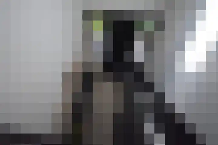 Klompstraloane 4 Burgum thumbnail 45