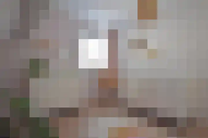 Klompstraloane 4 Burgum thumbnail 54