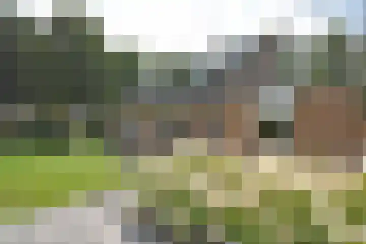 Klompstraloane 4 Burgum thumbnail 9