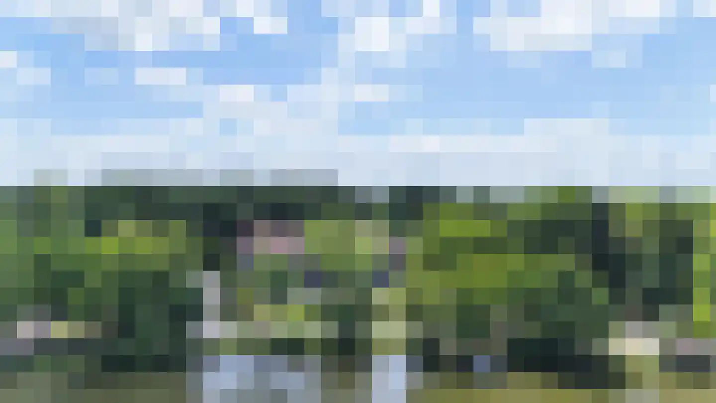 Klompven 26 M Oisterwijk thumbnail 8