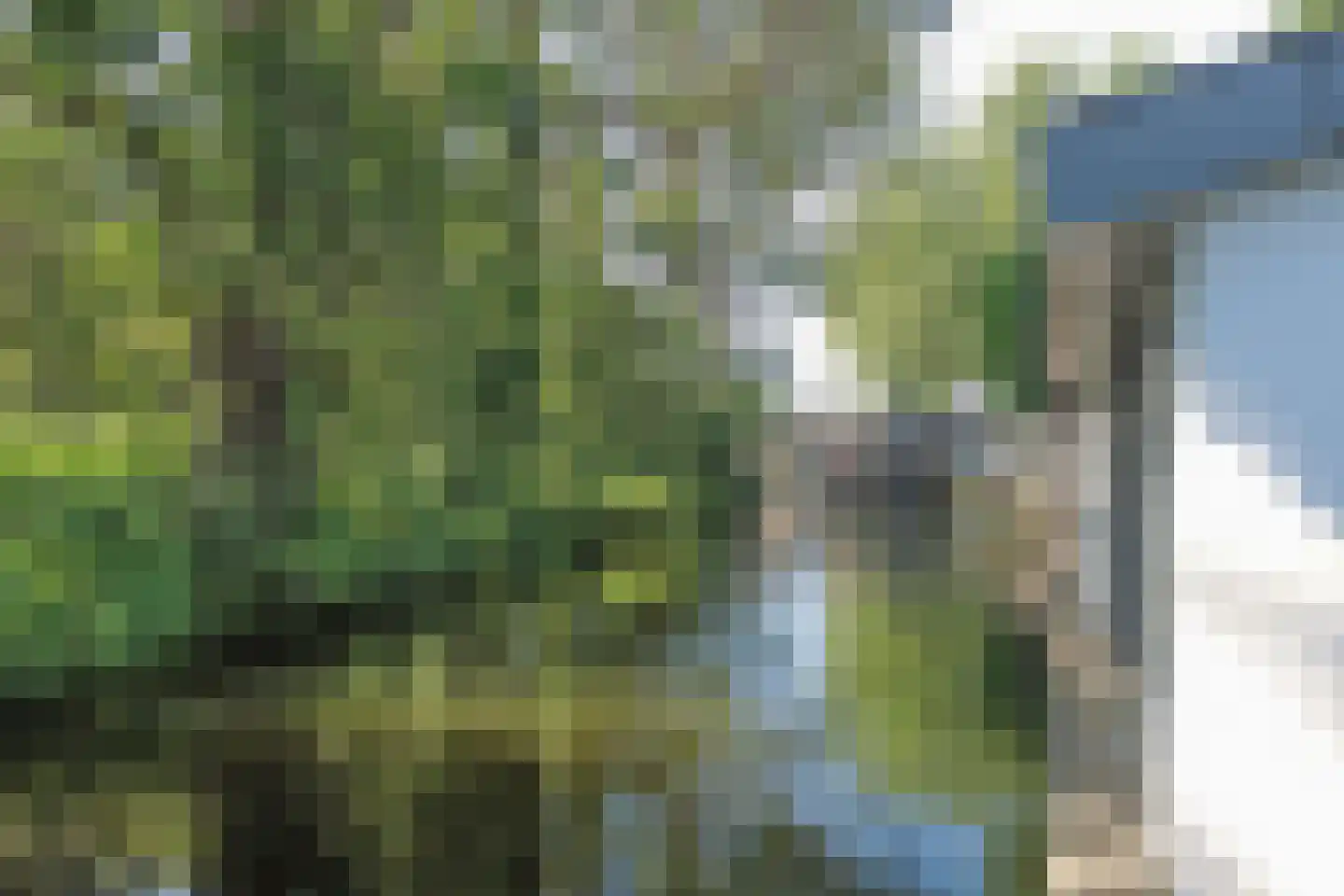 Klompweg 19 Nigtevecht thumbnail 10