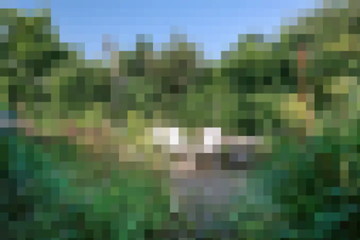 Klompweg 19 Nigtevecht thumbnail 34