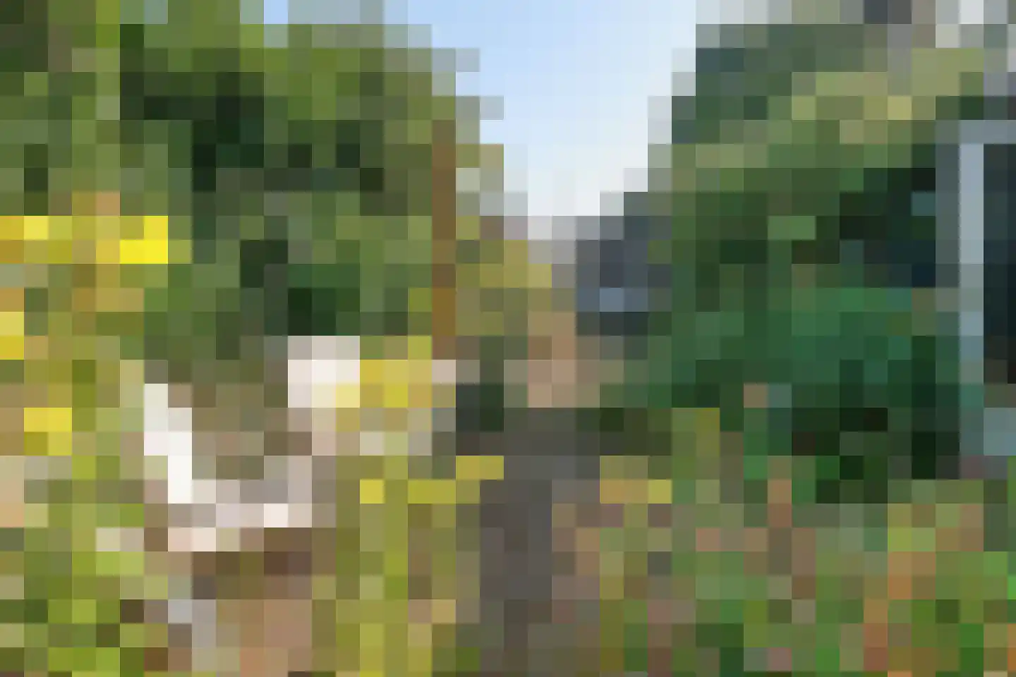 Klompweg 19 Nigtevecht thumbnail 36