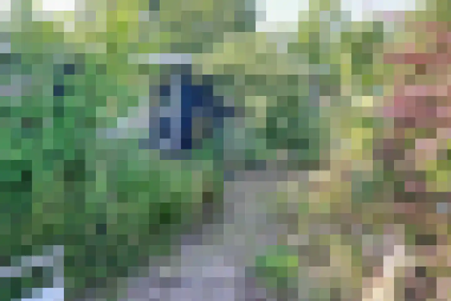 Klompweg 19 Nigtevecht thumbnail 39
