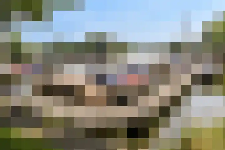 Klompweg 2 Nigtevecht thumbnail 38