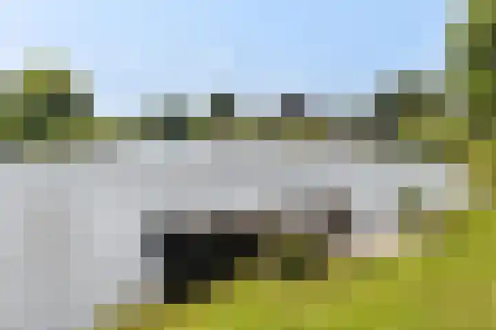 Klompweg 2 Nigtevecht thumbnail 41
