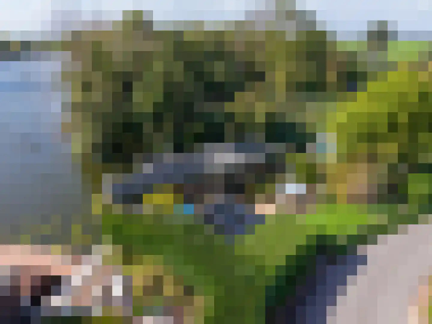 Klompweg 25 Nigtevecht thumbnail 13