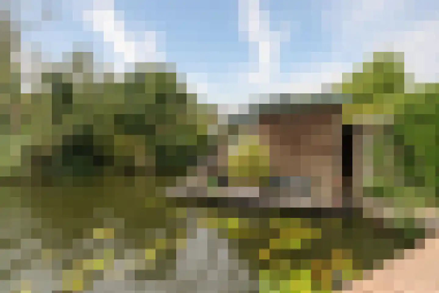 Klompweg 25 Nigtevecht thumbnail 60