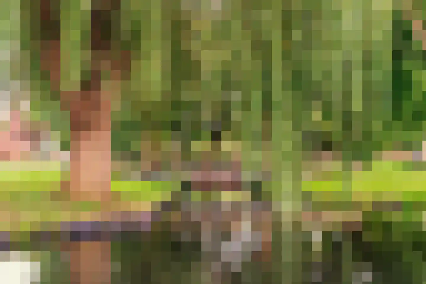 Klompweg 25 Nigtevecht thumbnail 80