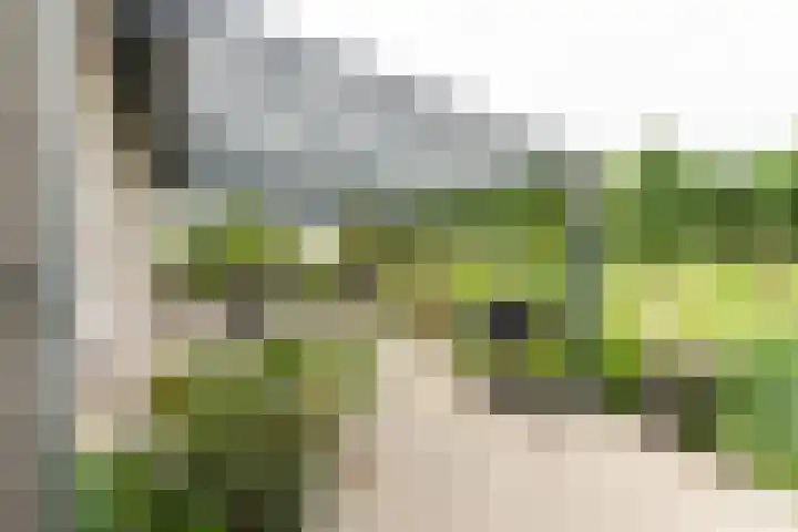 Klompweg 30 Nigtevecht thumbnail 11