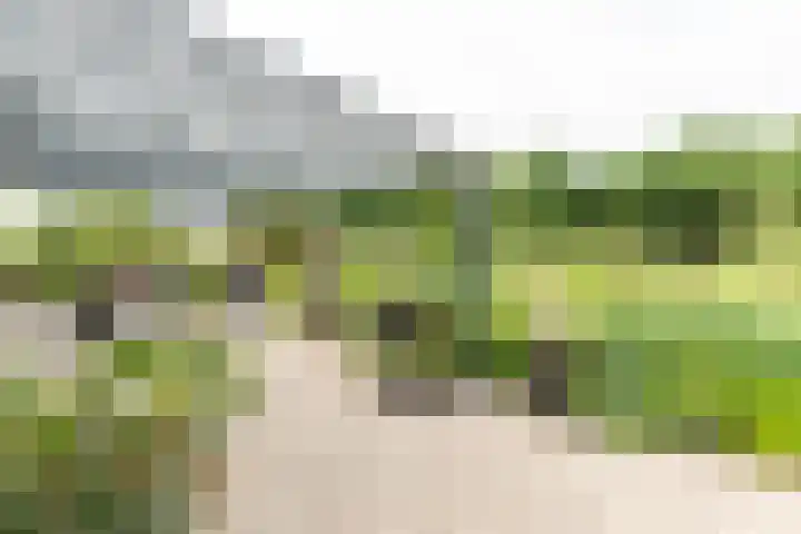 Klompweg 30 Nigtevecht thumbnail 12