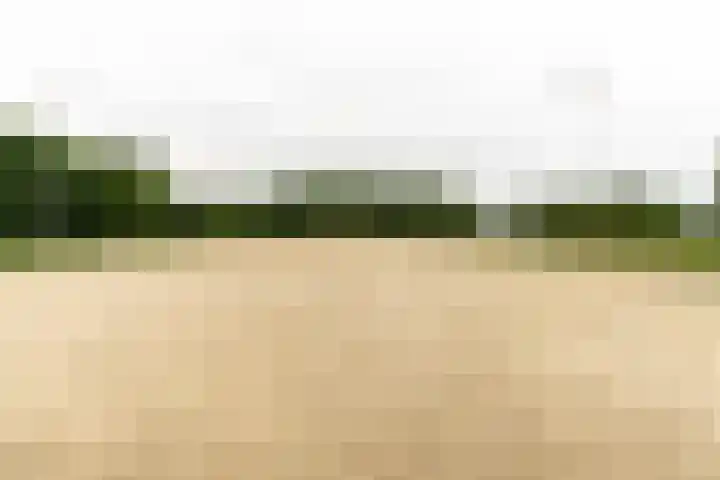 Klompweg 30 Nigtevecht thumbnail 21
