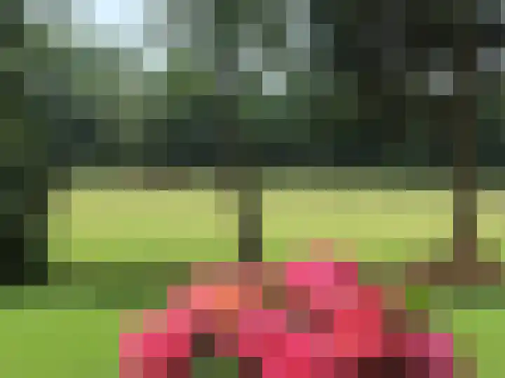 Klompweg 30 Nigtevecht thumbnail 23