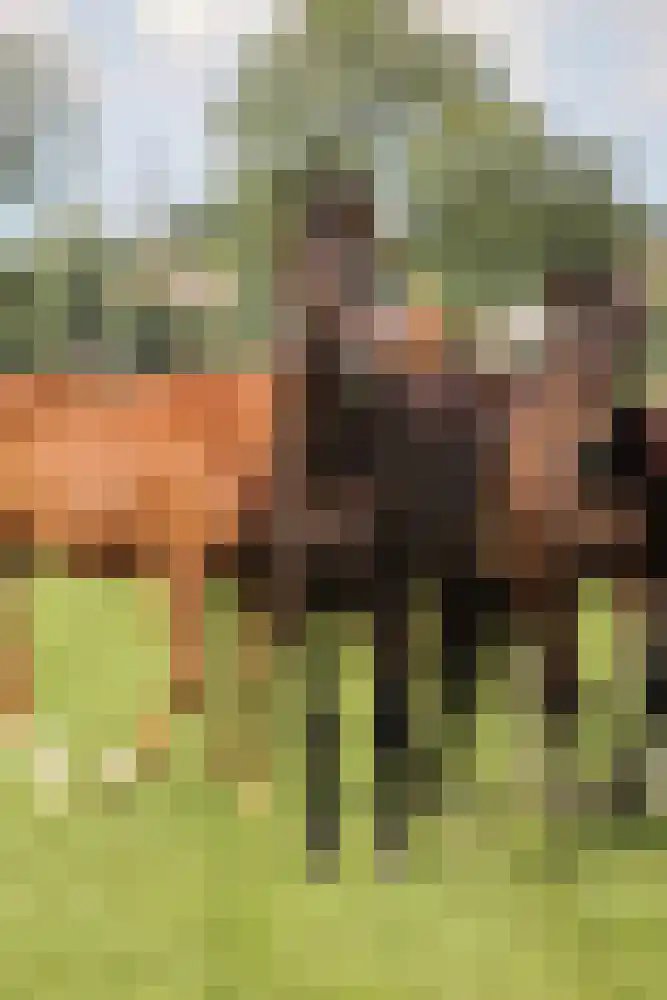 Klompweg 30 Nigtevecht thumbnail 25