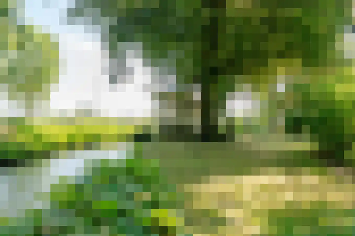 Klompweg 54 Nigtevecht thumbnail 37