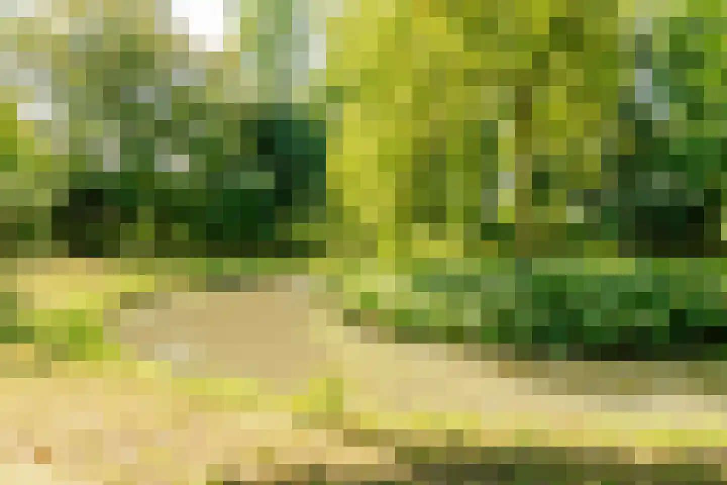 Klompweg 54 Nigtevecht thumbnail 38