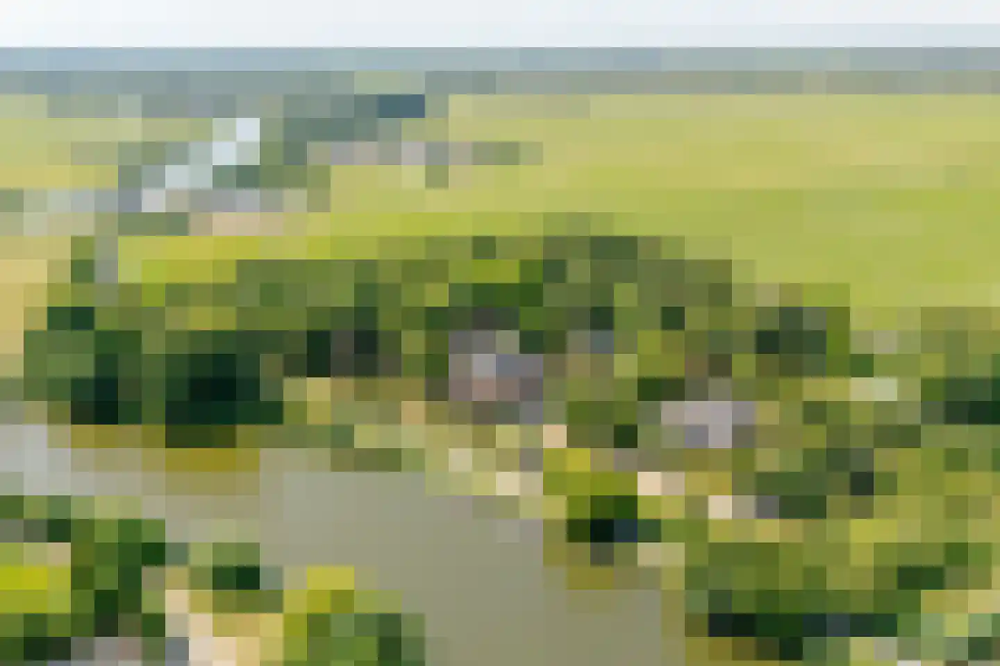 Klompweg 54 Nigtevecht thumbnail 46