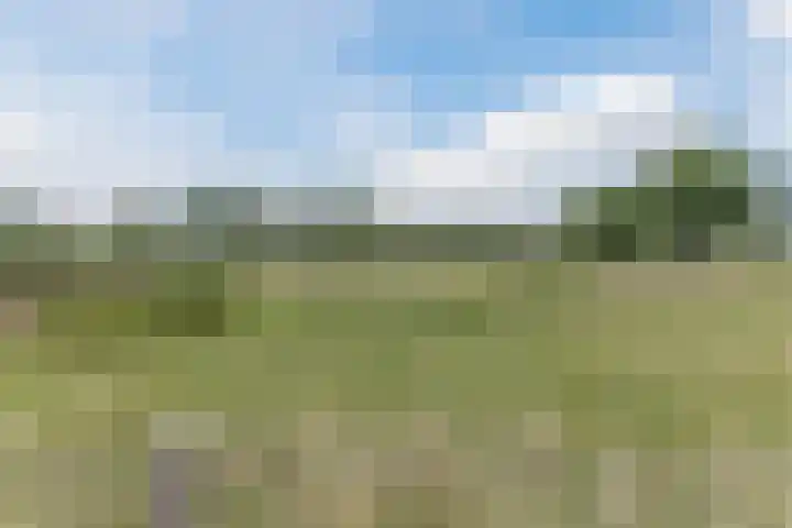 Kloofbeitel 13 Best thumbnail 48