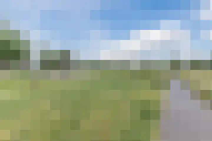 Kloofbeitel 13 Best thumbnail 49