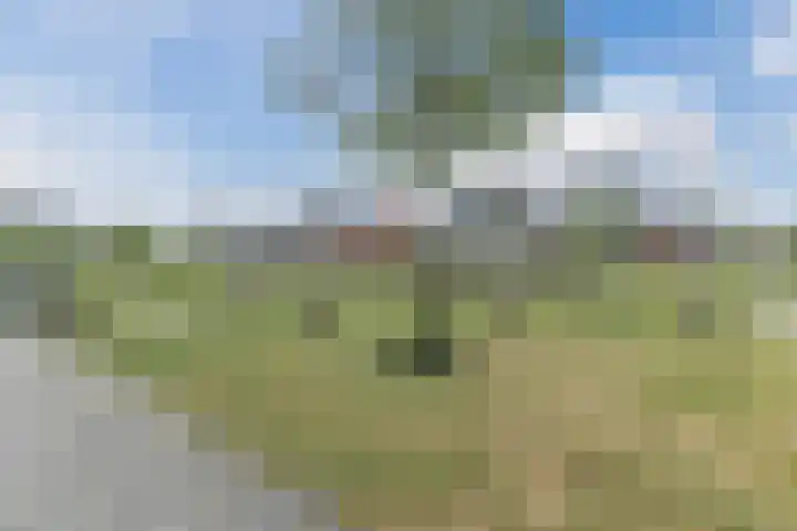 Kloofbeitel 13 Best thumbnail 51