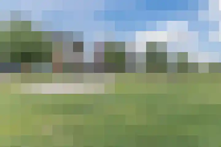 Kloofbeitel 13 Best thumbnail 53