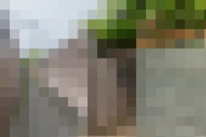 Kloofbeitel 26 Best thumbnail 22