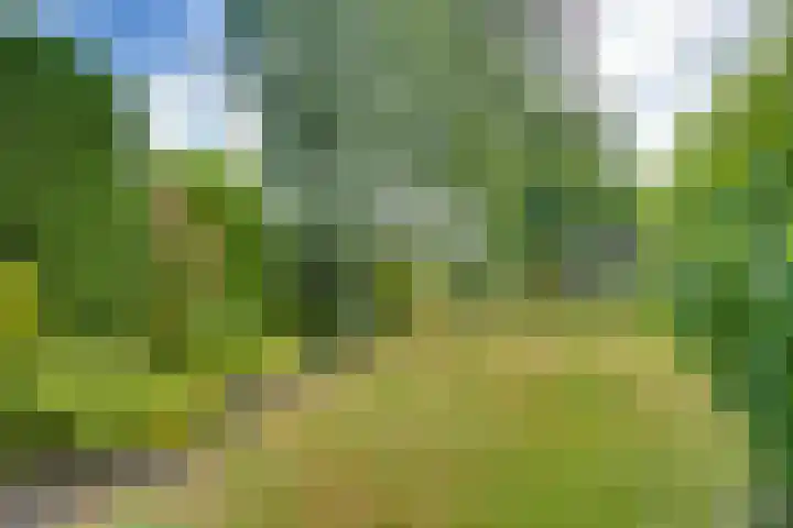 Kloofbeitel 26 Best thumbnail 41