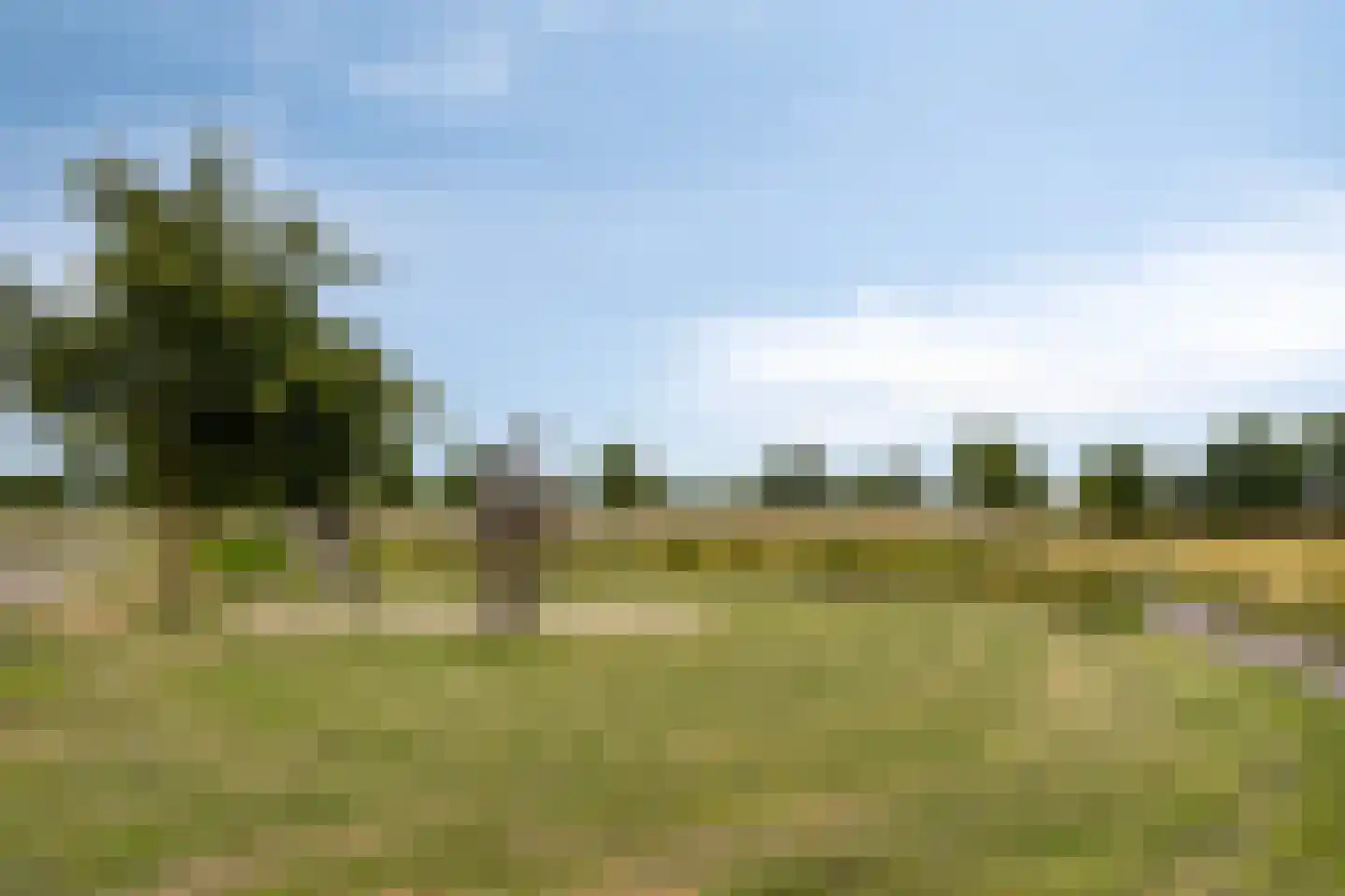 Kloofbeitel 32 Best thumbnail 39