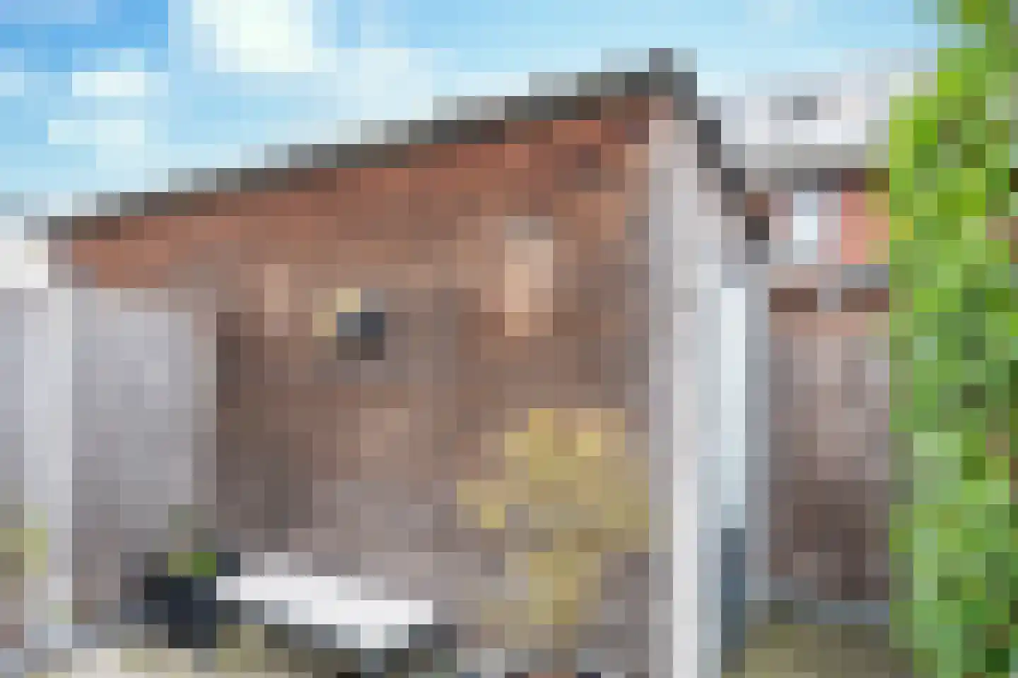 Kloofbeitel 4 Best thumbnail 38