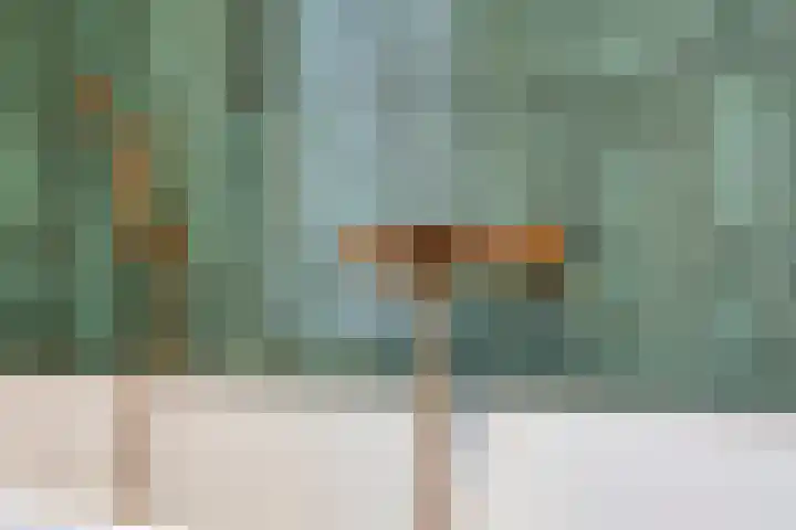 Kloofhamer 21 Best thumbnail 35