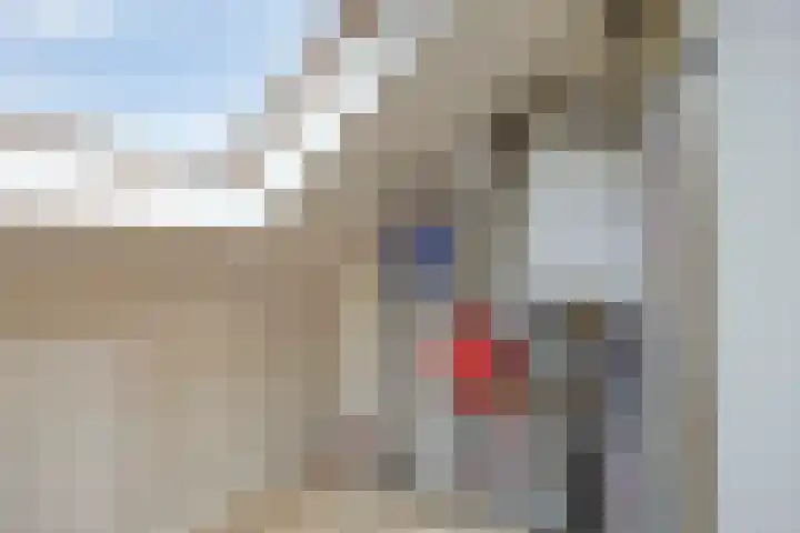 Kloofhamer 21 Best thumbnail 48