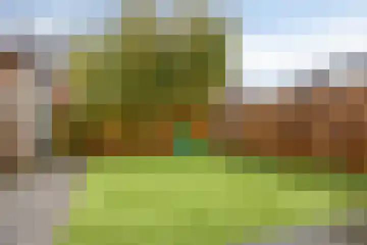 Kloofhamer 21 Best thumbnail 51