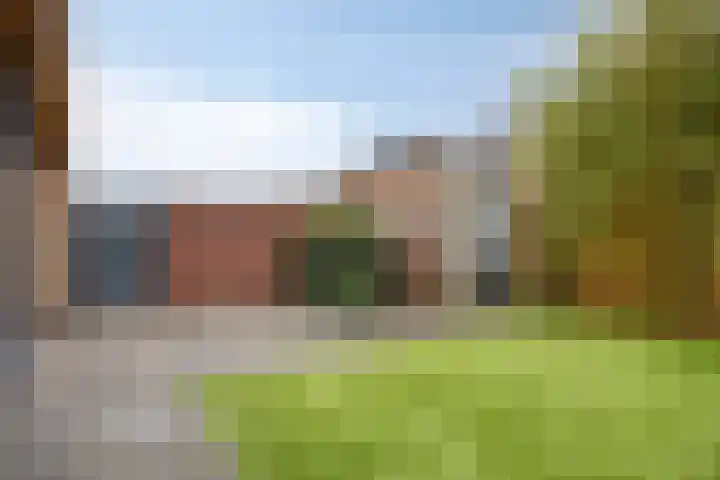 Kloofhamer 21 Best thumbnail 52