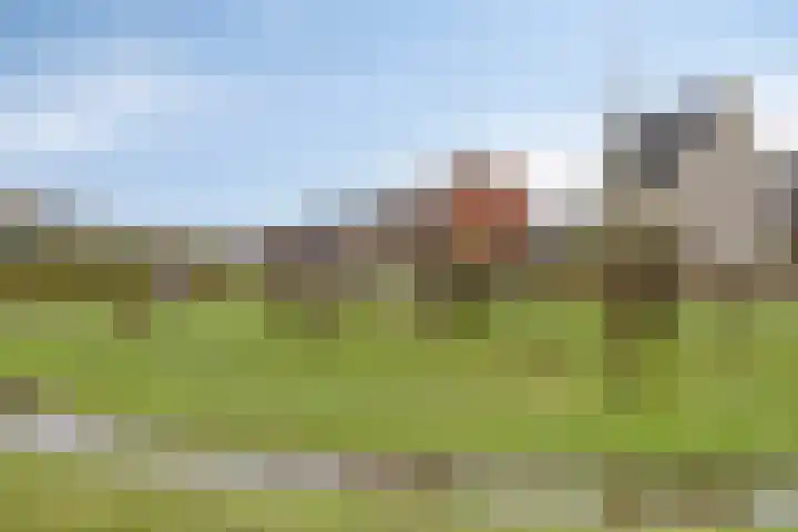 Kloofhamer 21 Best thumbnail 58