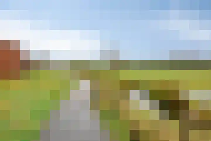 Kloofhamer 21 Best thumbnail 60