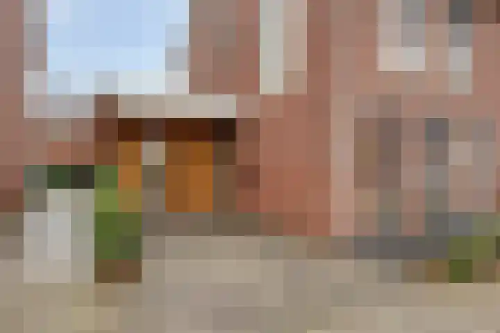 Kloofhamer 21 Best thumbnail 7