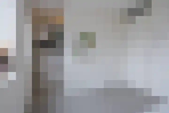 Kloofhamer 48 Best thumbnail 19